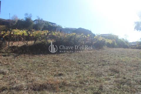 Quinta  Venda em Parada de Ester e Ester,Castro Daire