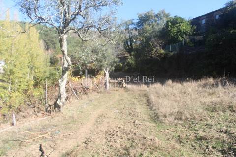 Quinta  Venda em Parada de Ester e Ester,Castro Daire