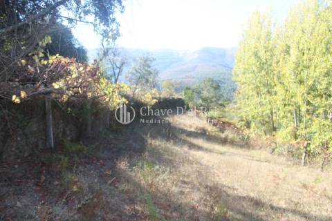 Quinta  Venda em Parada de Ester e Ester,Castro Daire