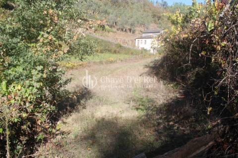 Quinta  Venda em Parada de Ester e Ester,Castro Daire