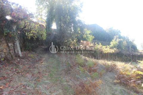 Quinta  Venda em Parada de Ester e Ester,Castro Daire