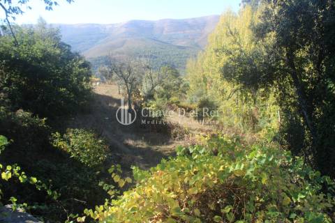 Quinta  Venda em Parada de Ester e Ester,Castro Daire