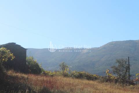 Quinta  Venda em Parada de Ester e Ester,Castro Daire