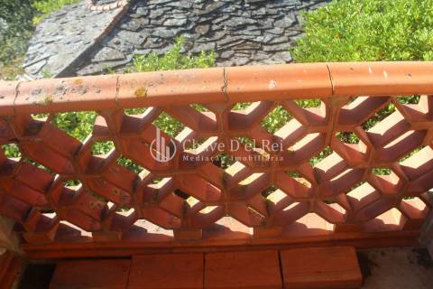 Quinta  Venda em Parada de Ester e Ester,Castro Daire