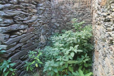 Quinta  Venda em Parada de Ester e Ester,Castro Daire