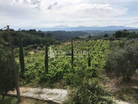 Quinta T6 Venda em Repeses e São Salvador,Viseu