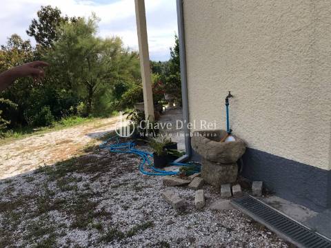 Quinta T6 Venda em Repeses e São Salvador,Viseu