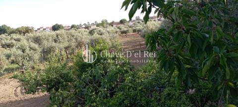 Quinta  Venda em Idanha-a-Nova e Alcafozes,Idanha-a-Nova
