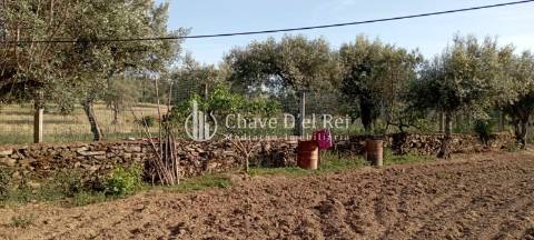 Quinta  Venda em Idanha-a-Nova e Alcafozes,Idanha-a-Nova