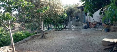 Quinta  Venda em Idanha-a-Nova e Alcafozes,Idanha-a-Nova