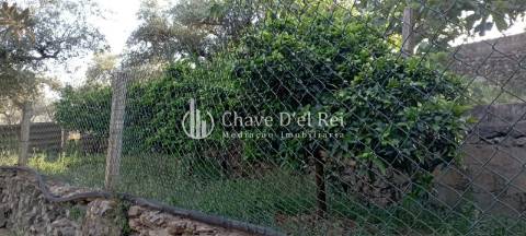 Quinta  Venda em Idanha-a-Nova e Alcafozes,Idanha-a-Nova