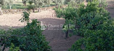 Quinta  Venda em Idanha-a-Nova e Alcafozes,Idanha-a-Nova