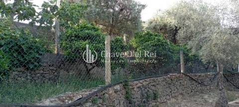 Quinta  Venda em Idanha-a-Nova e Alcafozes,Idanha-a-Nova