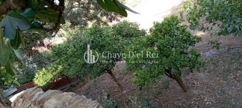 Quinta  Venda em Idanha-a-Nova e Alcafozes,Idanha-a-Nova