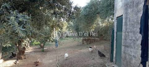 Quinta  Venda em Idanha-a-Nova e Alcafozes,Idanha-a-Nova