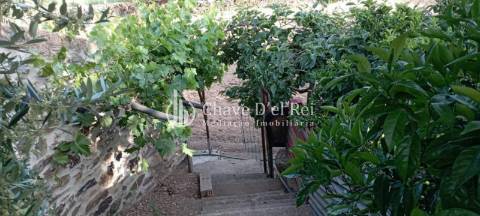 Quinta  Venda em Idanha-a-Nova e Alcafozes,Idanha-a-Nova