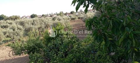 Quinta  Venda em Idanha-a-Nova e Alcafozes,Idanha-a-Nova