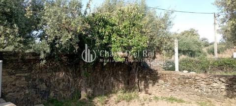 Quinta  Venda em Idanha-a-Nova e Alcafozes,Idanha-a-Nova