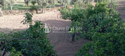 Quinta  Venda em Idanha-a-Nova e Alcafozes,Idanha-a-Nova