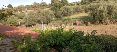 Quinta  Venda em Idanha-a-Nova e Alcafozes,Idanha-a-Nova