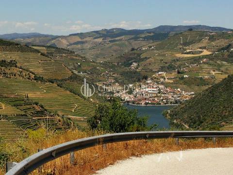 Terreno Para Construção  Venda em Valença do Douro,Tabuaço