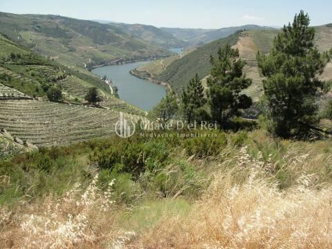 Terreno Para Construção  Venda em Valença do Douro,Tabuaço