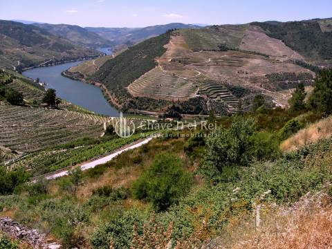 Terreno Para Construção  Venda em Valença do Douro,Tabuaço