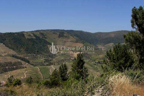 Terreno Para Construção  Venda em Valença do Douro,Tabuaço