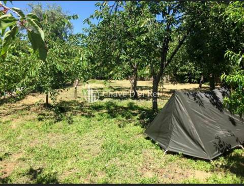 Moradia Isolada T3+2 Venda em Ribafeita,Viseu