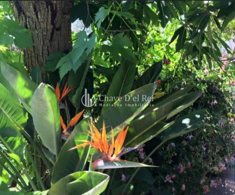 Moradia Isolada T3+2 Venda em Ribafeita,Viseu