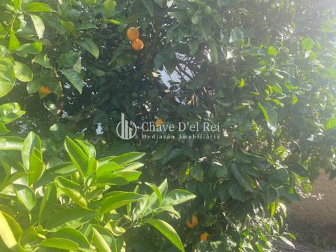 Moradia Isolada T3+2 Venda em Ribafeita,Viseu