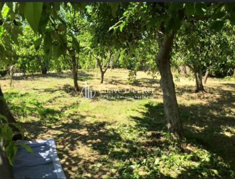 Moradia Isolada T3+2 Venda em Ribafeita,Viseu