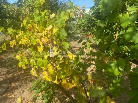 Moradia Isolada T3+2 Venda em Ribafeita,Viseu