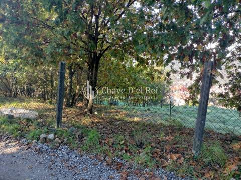 Lote de Terreno  Venda em Orgens,Viseu