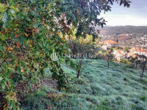 Lote de Terreno  Venda em Orgens,Viseu