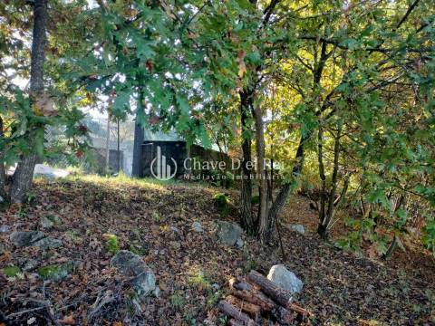 Lote de Terreno  Venda em Orgens,Viseu
