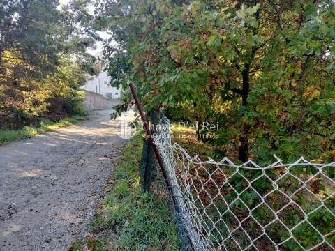 Lote de Terreno  Venda em Orgens,Viseu