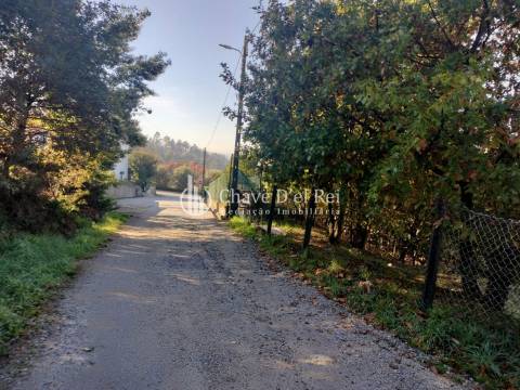 Lote de Terreno  Venda em Orgens,Viseu