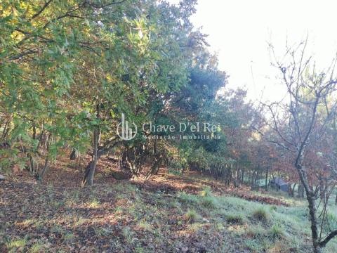 Lote de Terreno  Venda em Orgens,Viseu