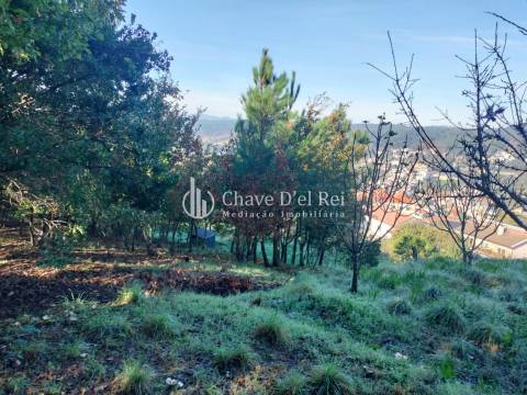 Lote de Terreno  Venda em Orgens,Viseu