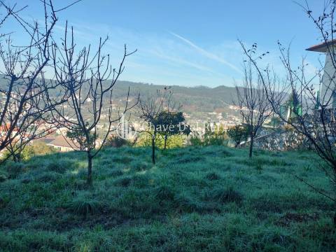 Lote de Terreno  Venda em Orgens,Viseu