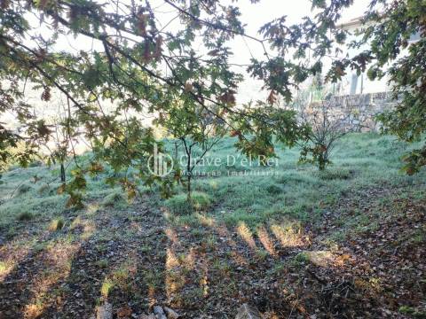 Lote de Terreno  Venda em Orgens,Viseu