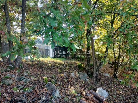 Lote de Terreno  Venda em Orgens,Viseu