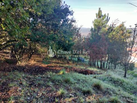 Lote de Terreno  Venda em Orgens,Viseu