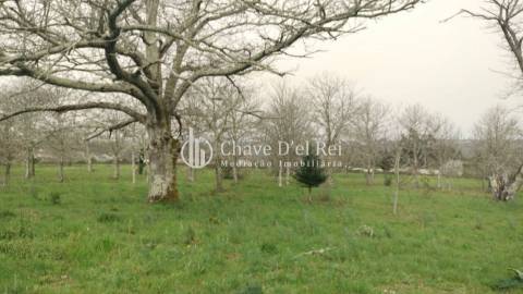 Herdade T5 Venda em Fornos de Maceira Dão,Mangualde