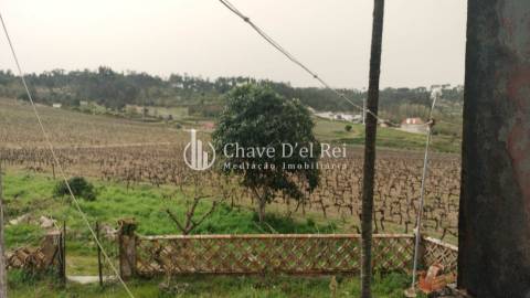 Herdade T5 Venda em Fornos de Maceira Dão,Mangualde
