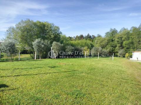 Terreno  Arrendamento em Campo,Viseu