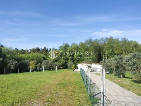 Terreno  Arrendamento em Campo,Viseu