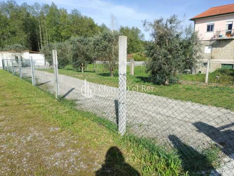 Terreno  Arrendamento em Campo,Viseu