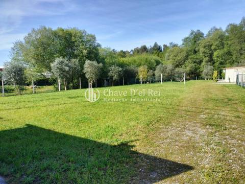 Terreno  Arrendamento em Campo,Viseu